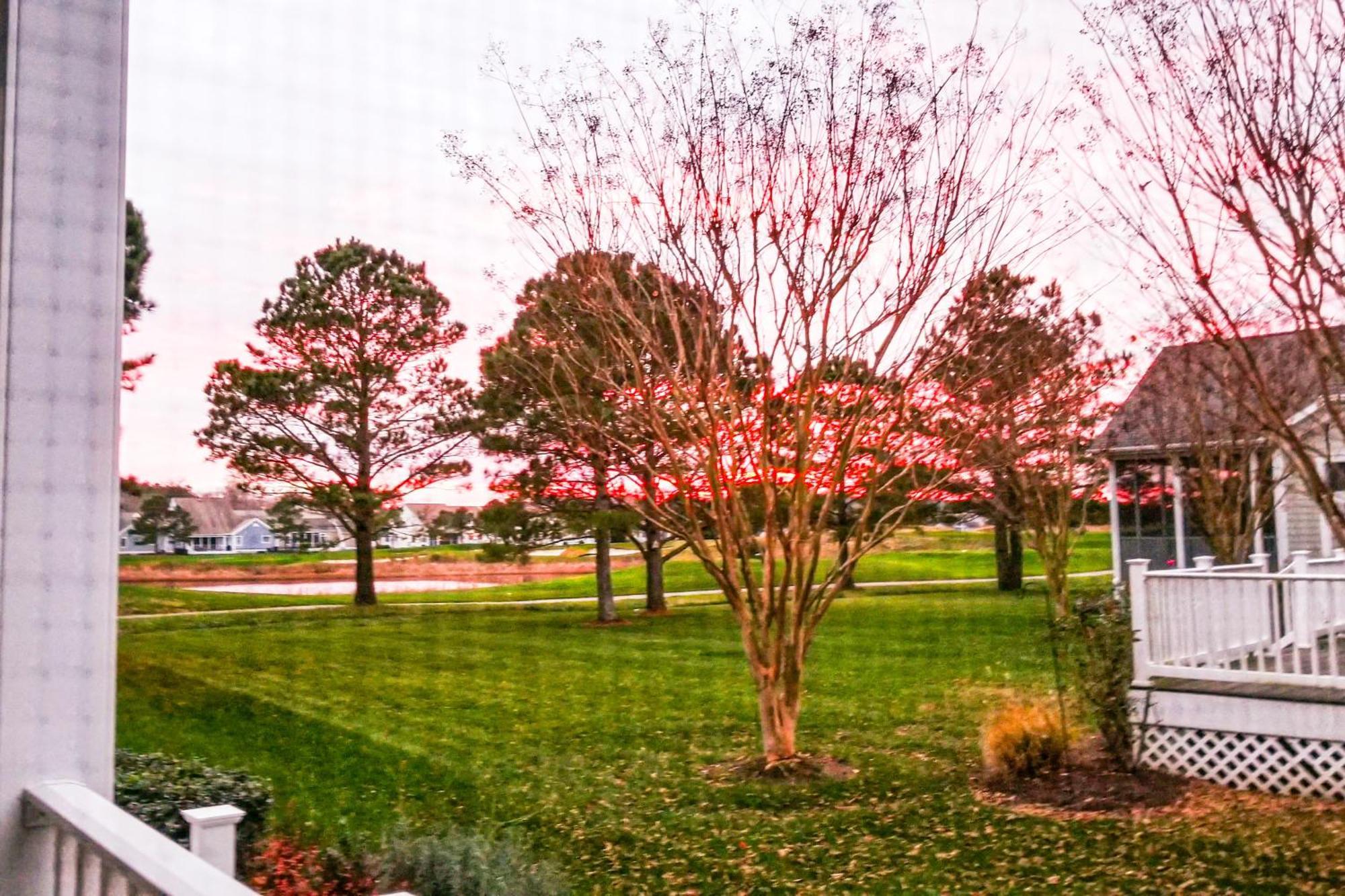 Bear Trap Dunes - Willow Oak Ocean View Habitación foto